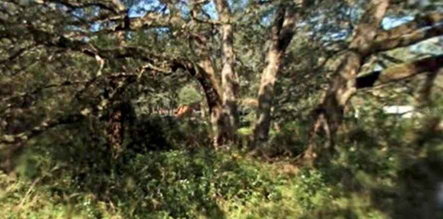 Terreno en Brooksville, Florida № 1915897