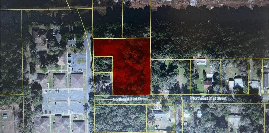 Terrain à Ocala, Floride № 1903168