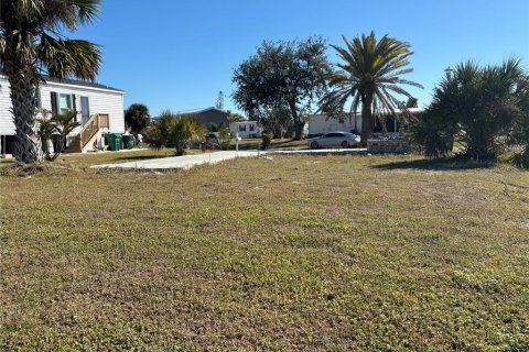Land in Port Charlotte, Florida № 2159286 - photo 3