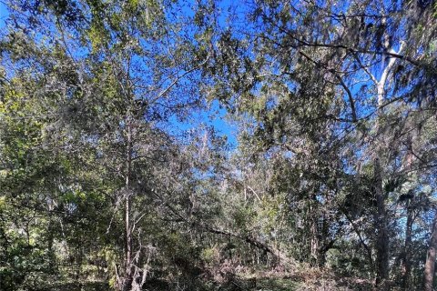 Land in Brooksville, Florida № 1418931 - photo 3