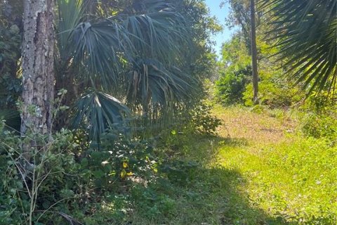 Land in Brooksville, Florida № 1418931 - photo 2