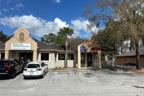 Immobilier commercial à Belleview, Floride 531.03 m2 № 2412718