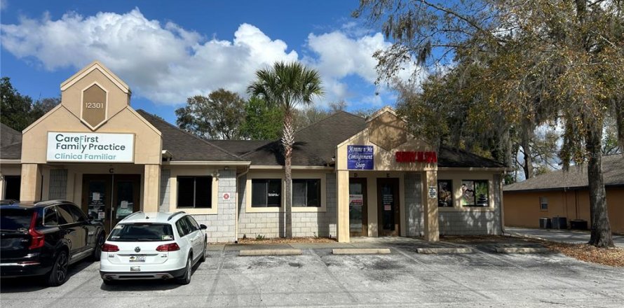 Immobilier commercial à Belleview, Floride 531.03 m2 № 2412718