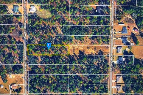 Land in Dunnellon, Florida № 2163574 - photo 2