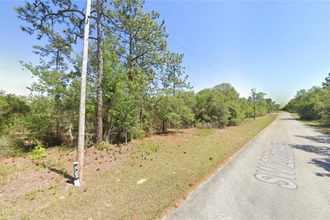 Land in Dunnellon, Florida № 2163574