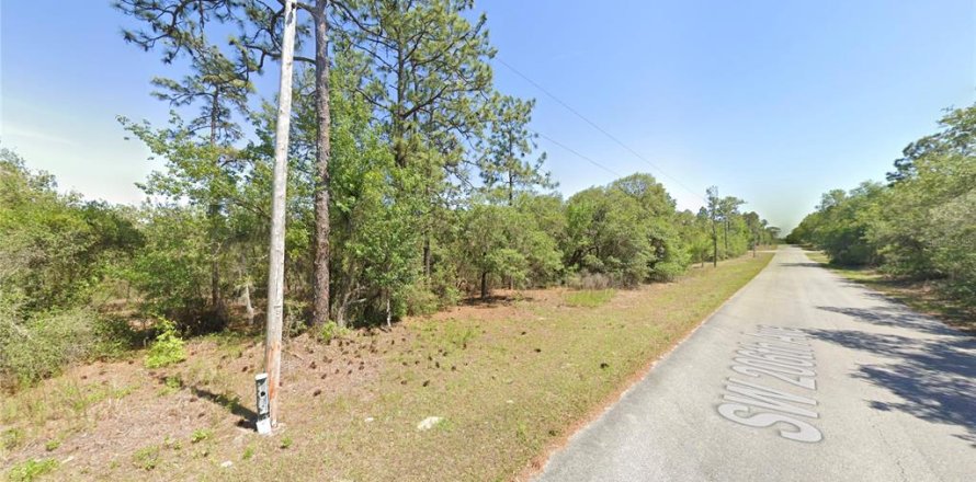 Land in Dunnellon, Florida № 2163574