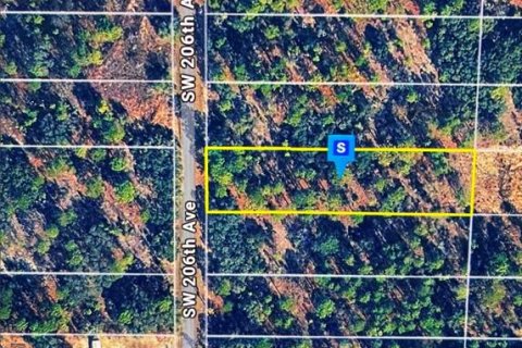 Land in Dunnellon, Florida № 2163574 - photo 3