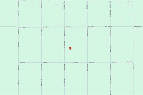 Land in Dunnellon, Florida № 2163574 - photo 4