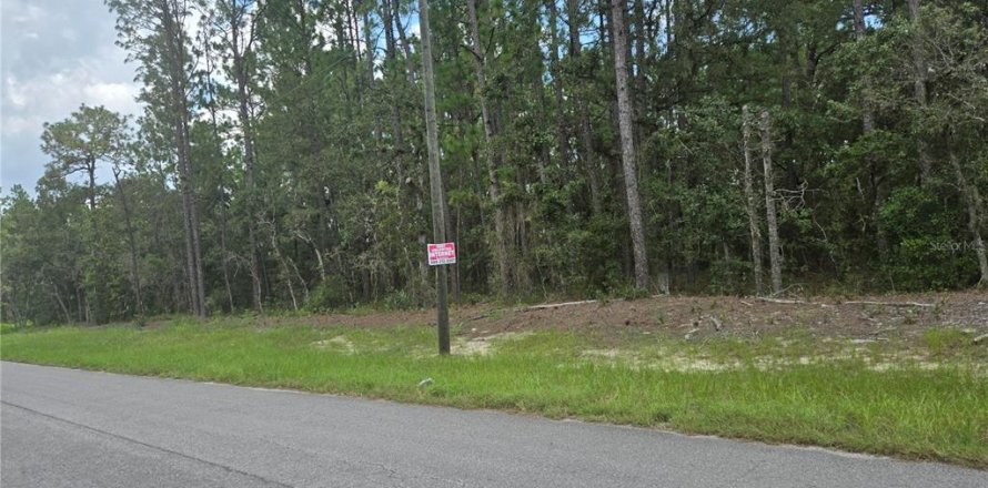 Terrain à Ocala, Floride № 1906367