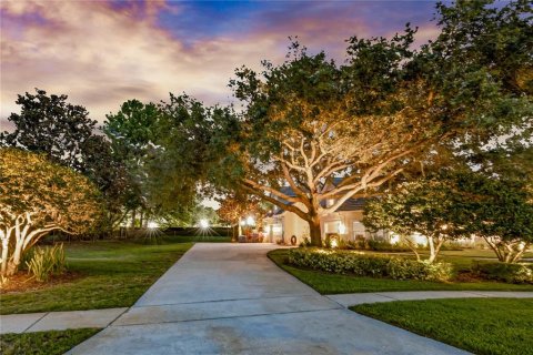 Villa ou maison à vendre à Windermere, Floride: 4 chambres, 471.11 m2 № 1681792 - photo 3
