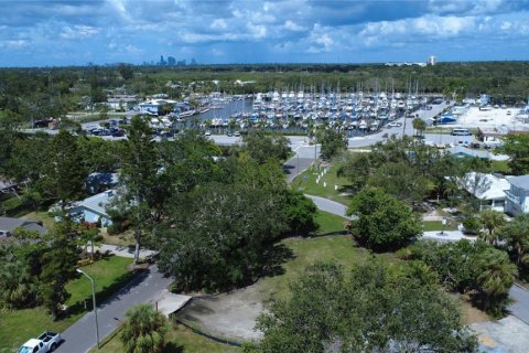 Land in Gulfport, Florida № 1819309 - photo 15