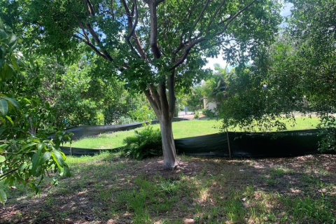 Land in Gulfport, Florida № 1819309 - photo 2