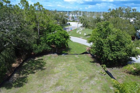 Land in Gulfport, Florida № 1819309 - photo 4