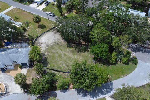 Land in Gulfport, Florida № 1819309 - photo 11