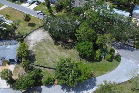 Land in Gulfport, Florida № 1819309 - photo 12