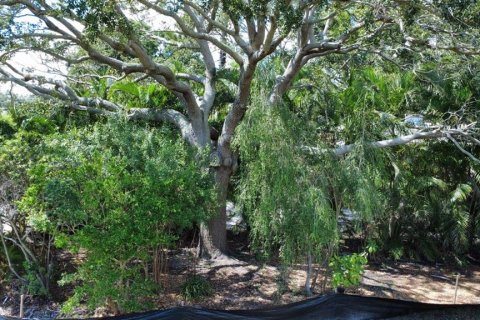 Land in Gulfport, Florida № 1819309 - photo 3