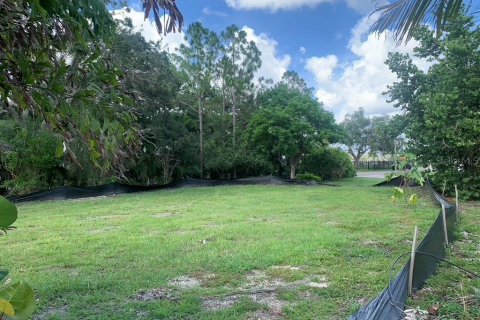 Land in Gulfport, Florida № 1819309 - photo 22
