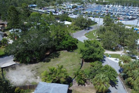 Land in Gulfport, Florida № 1819309 - photo 17