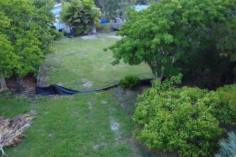 Land in Gulfport, Florida № 1819309 - photo 21