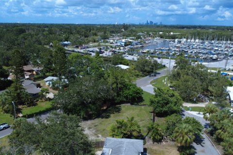 Land in Gulfport, Florida № 1819309 - photo 16