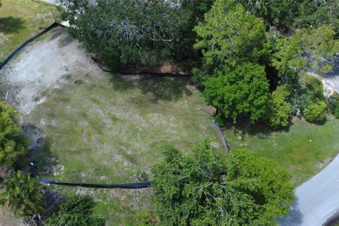 Land in Gulfport, Florida № 1819309 - photo 6