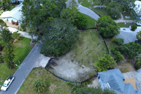 Land in Gulfport, Florida № 1819309 - photo 7