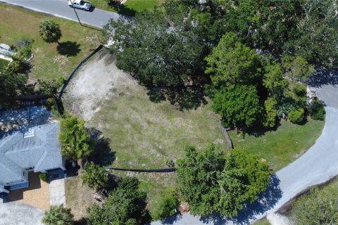 Land in Gulfport, Florida № 1819309 - photo 18