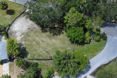 Land in Gulfport, Florida № 1819309 - photo 5