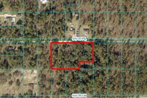 Land in Dunnellon, Florida № 1307088 - photo 2