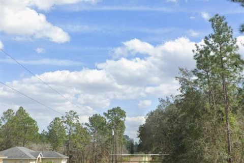 Land in Dunnellon, Florida № 1307088 - photo 6