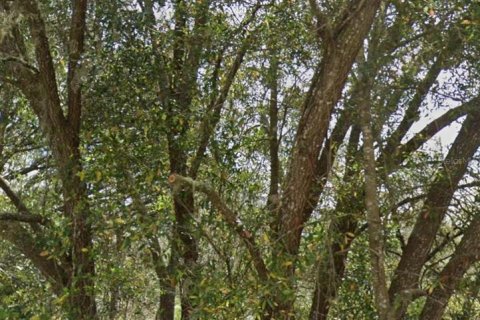 Land in Dunnellon, Florida № 1307088 - photo 4