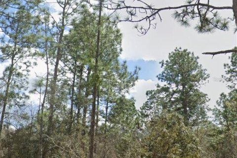 Land in Dunnellon, Florida № 1307088 - photo 7