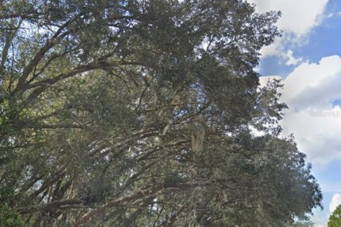 Land in Dunnellon, Florida № 1307088 - photo 5