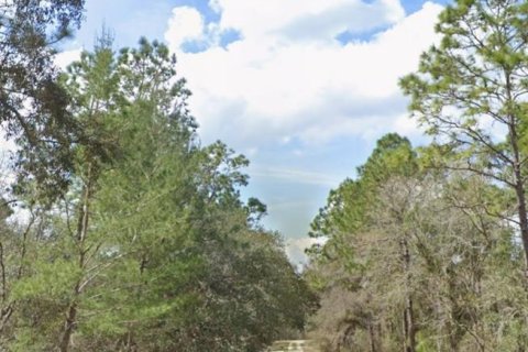 Land in Dunnellon, Florida № 1307088 - photo 1
