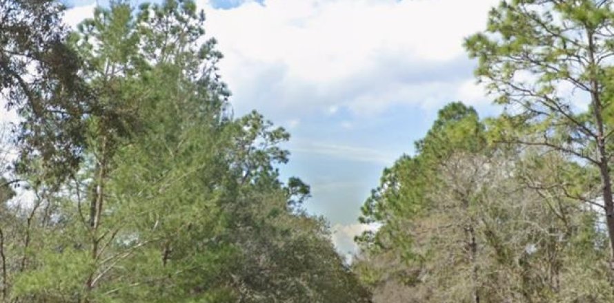 Land in Dunnellon, Florida № 1307088
