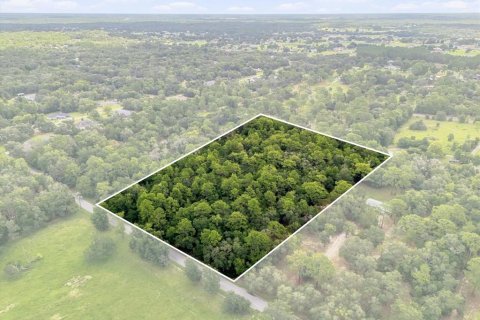 Terrain à Lecanto, Floride № 2349911