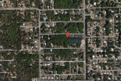Land in Crystal River, Florida № 2237590 - photo 4