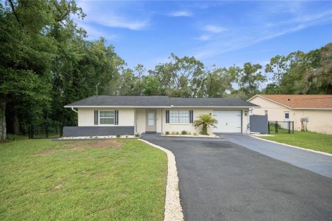 Villa ou maison à vendre à Inverness, Floride: 3 chambres, 136.38 m2 № 2221409 - photo 3