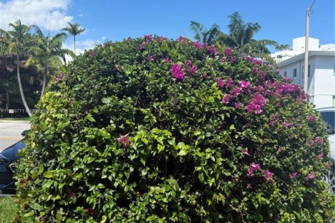 Condo in Bay Harbor Islands, Florida, 1 bedroom  № 1938767 - photo 16