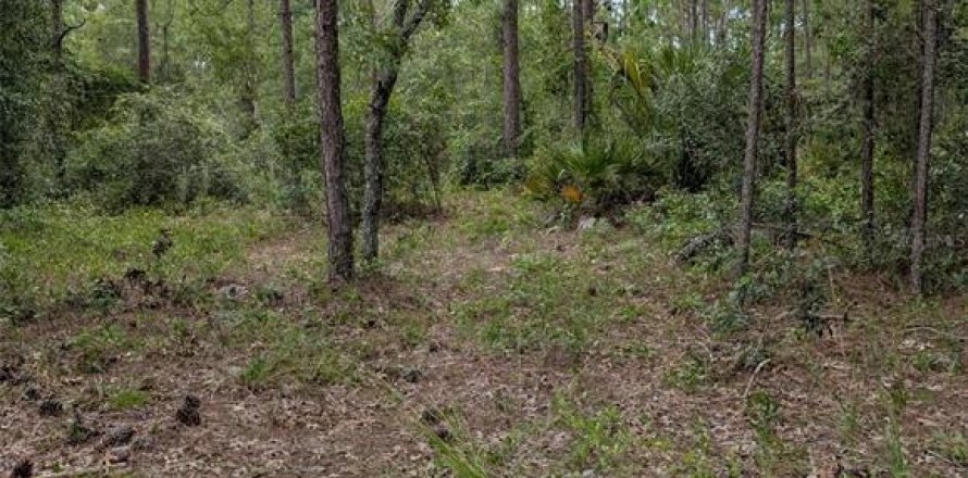 Land in Wildwood, Florida № 1840468