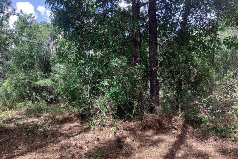 Land in Wildwood, Florida № 1840468 - photo 7