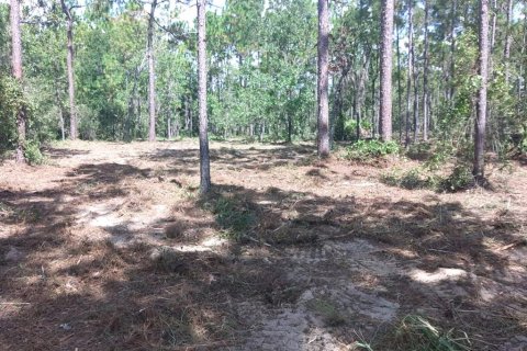 Land in Wildwood, Florida № 1840468 - photo 8
