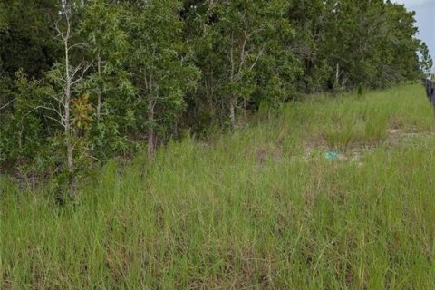 Land in Wildwood, Florida № 1840468 - photo 5