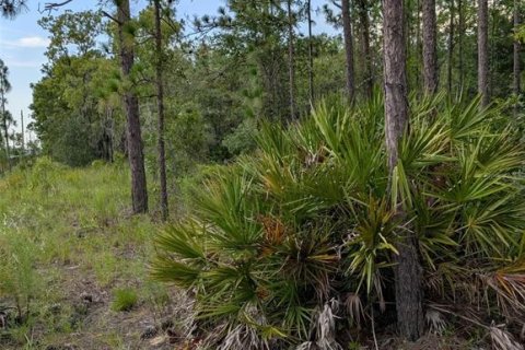 Land in Wildwood, Florida № 1840468 - photo 3