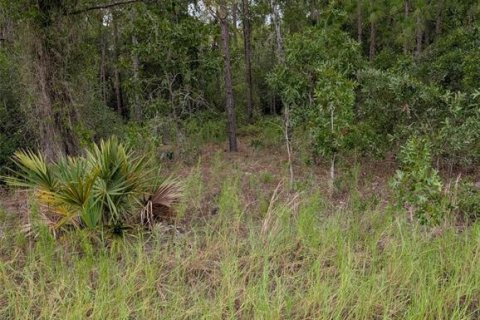 Land in Wildwood, Florida № 1840468 - photo 4
