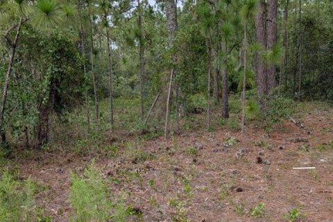 Land in Wildwood, Florida № 1840468 - photo 2