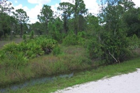 Terrain à vendre à Punta Gorda, Floride № 2227851 - photo 4