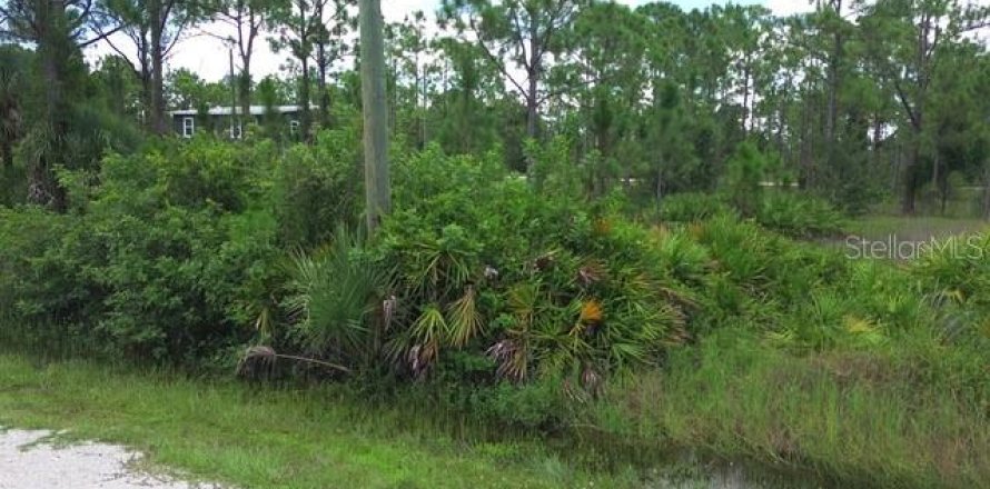 Terrain à Punta Gorda, Floride № 2227851