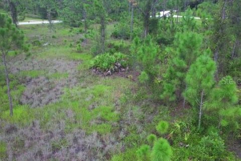 Terrain à vendre à Punta Gorda, Floride № 2227851 - photo 6