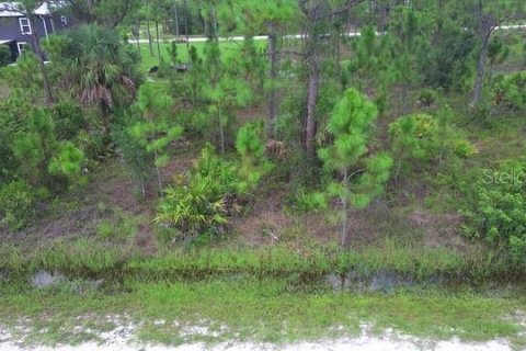 Terrain à vendre à Punta Gorda, Floride № 2227851 - photo 14